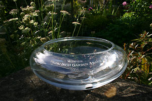 The Prize